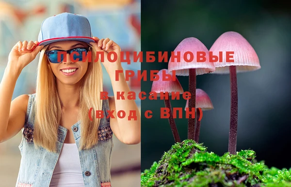 крисы Алексеевка