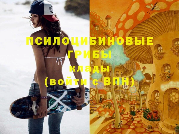 крисы Алексеевка