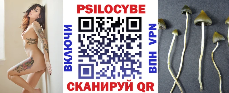где купить наркоту  Бологое  Галлюциногенные грибы мухоморы 